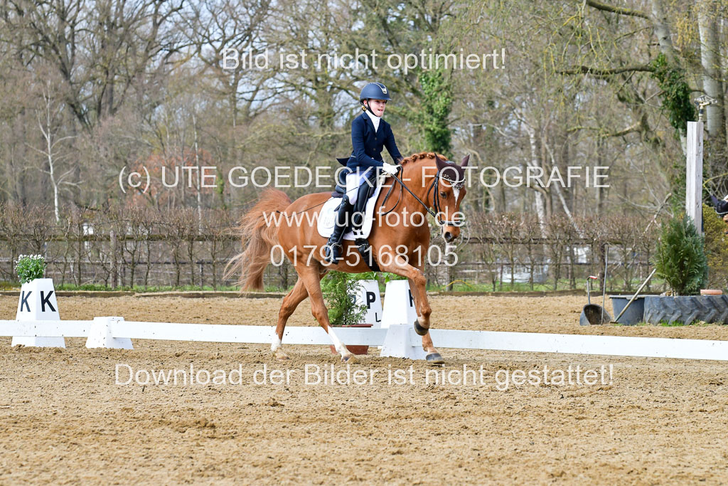 Reitsportzentrum Bremervörde | 170421 Dressurreiter L_323
