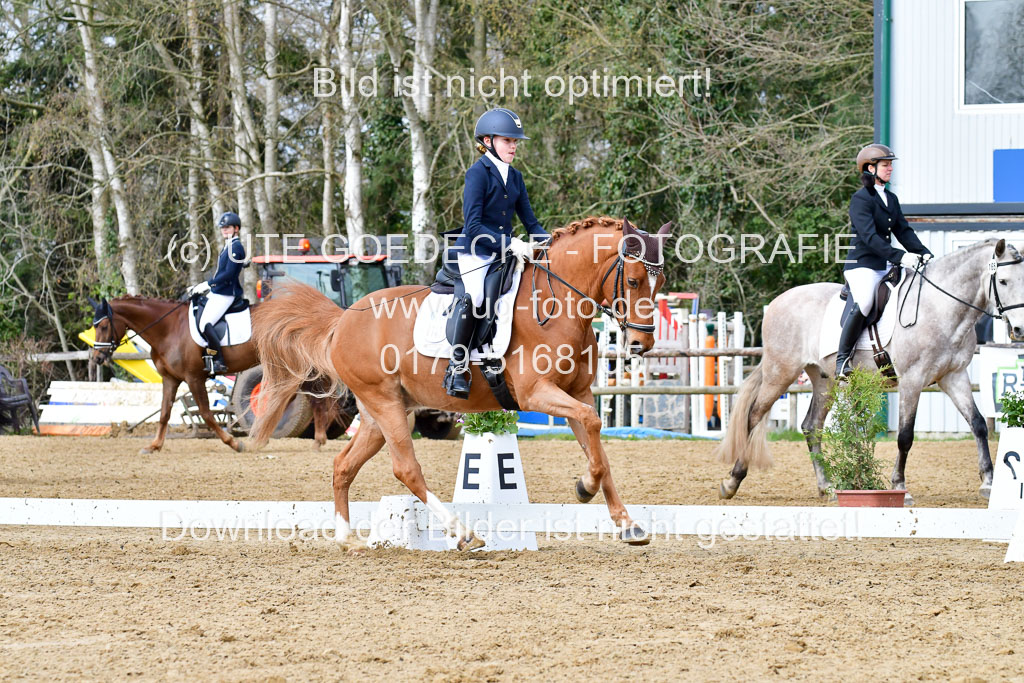 Reitsportzentrum Bremervörde | 170421 Dressurreiter L_324