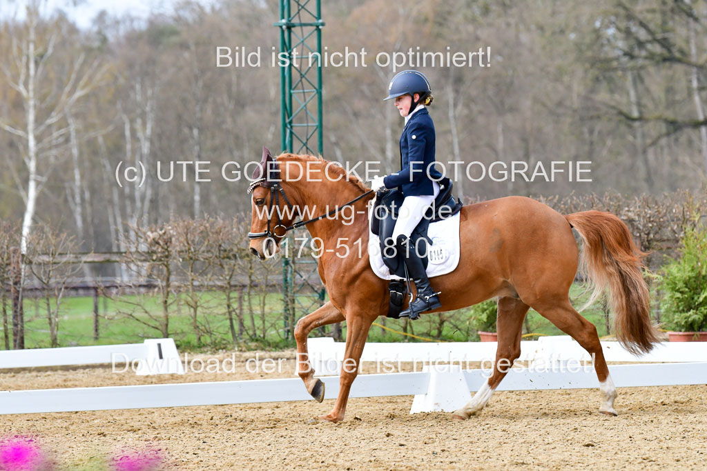 Reitsportzentrum Bremervörde | 170421 Dressurreiter L_329 