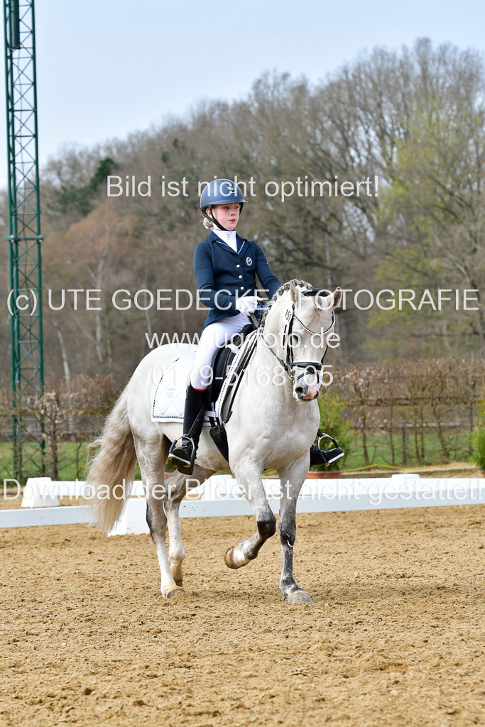 Reitsportzentrum Bremervörde | 170421 Dressurreiter L_333