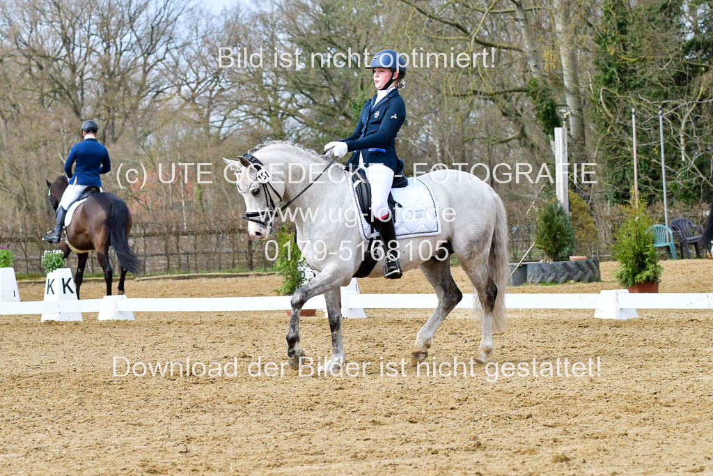 Reitsportzentrum Bremervörde | 170421 Dressurreiter L_336