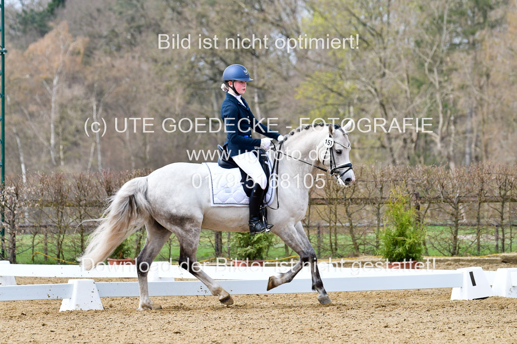 Reitsportzentrum Bremervörde | 170421 Dressurreiter L_338