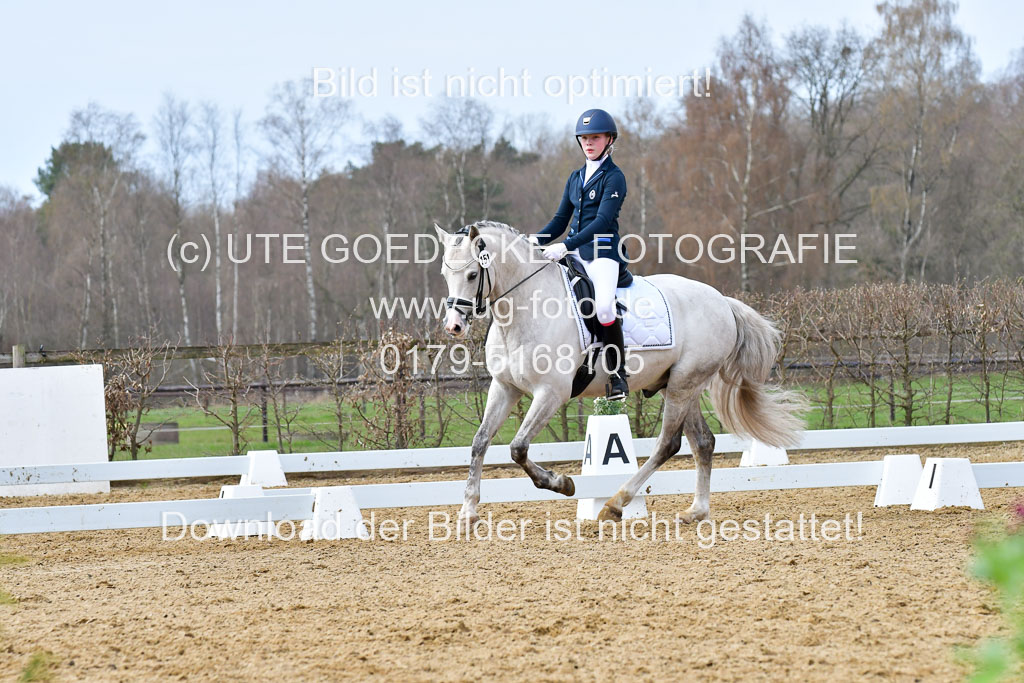 Reitsportzentrum Bremervörde | 170421 Dressurreiter L_344