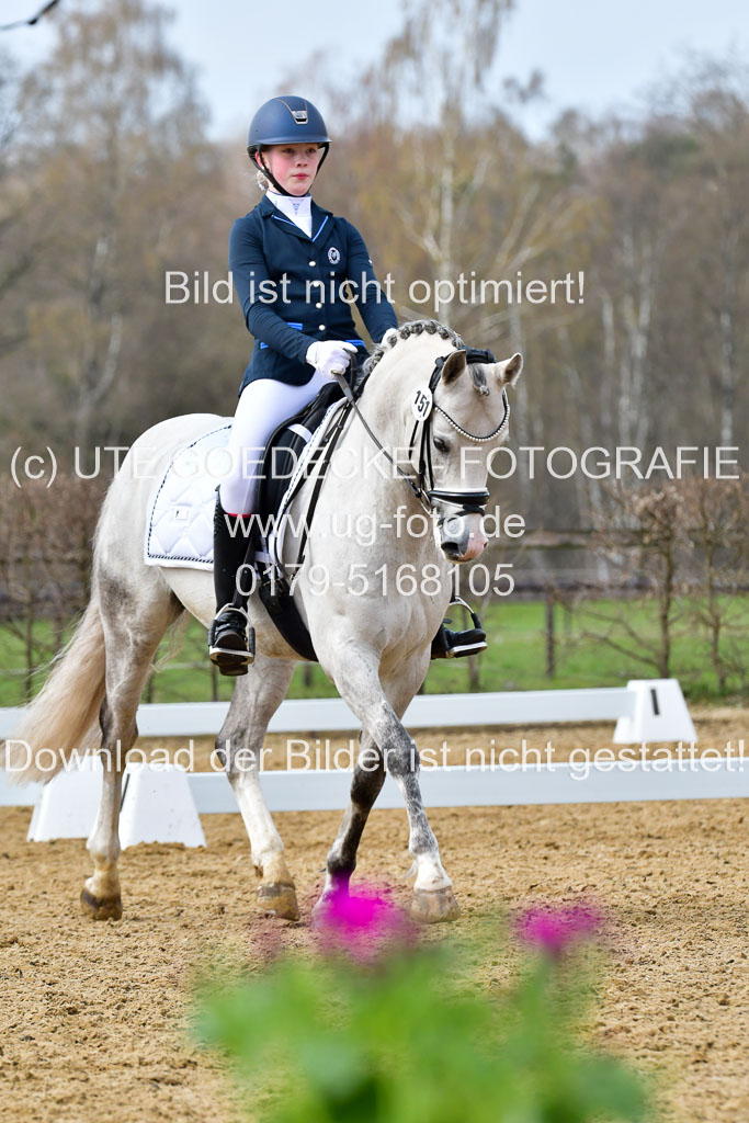 Reitsportzentrum Bremervörde | 170421 Dressurreiter L_345