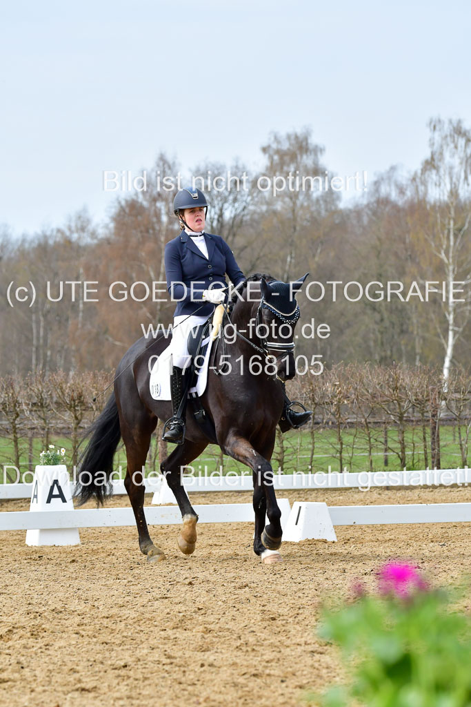 Reitsportzentrum Bremervörde | 170421 Dressurreiter L_350
