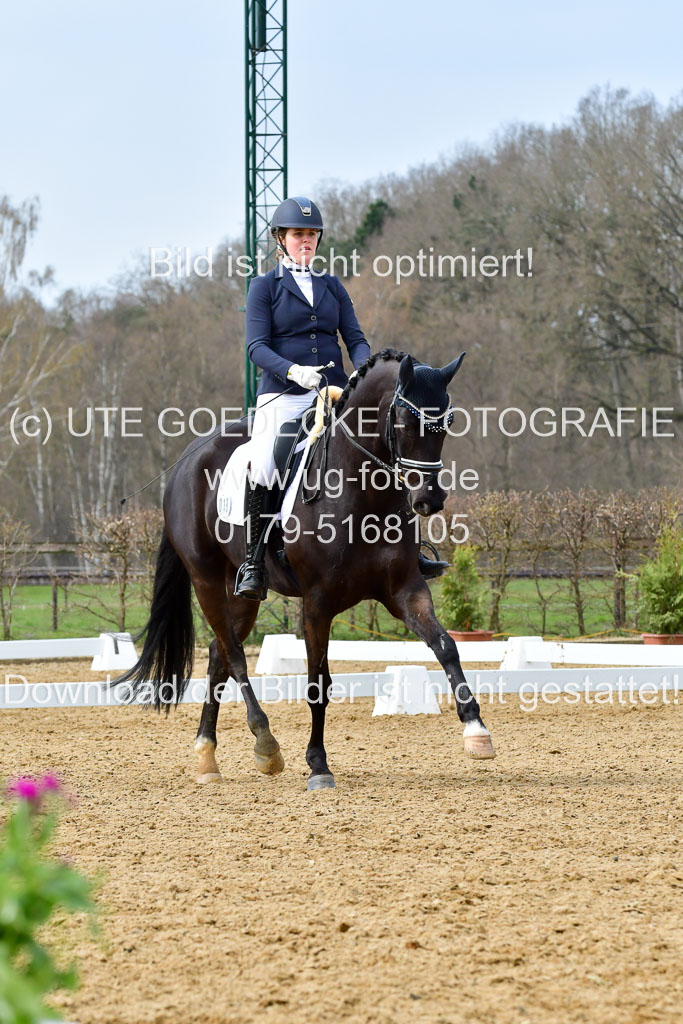 Reitsportzentrum Bremervörde | 170421 Dressurreiter L_353