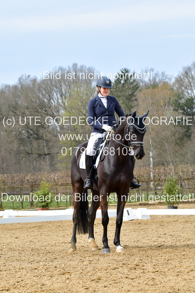 Reitsportzentrum Bremervörde | 170421 Dressurreiter L_355 