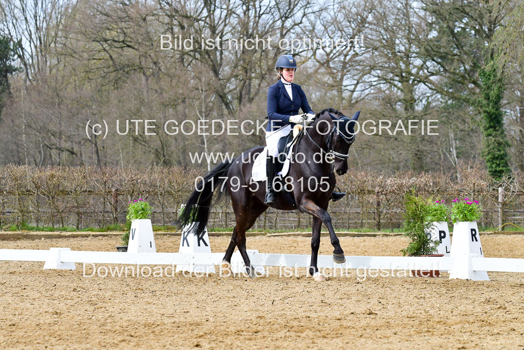 Reitsportzentrum Bremervörde | 170421 Dressurreiter L_357