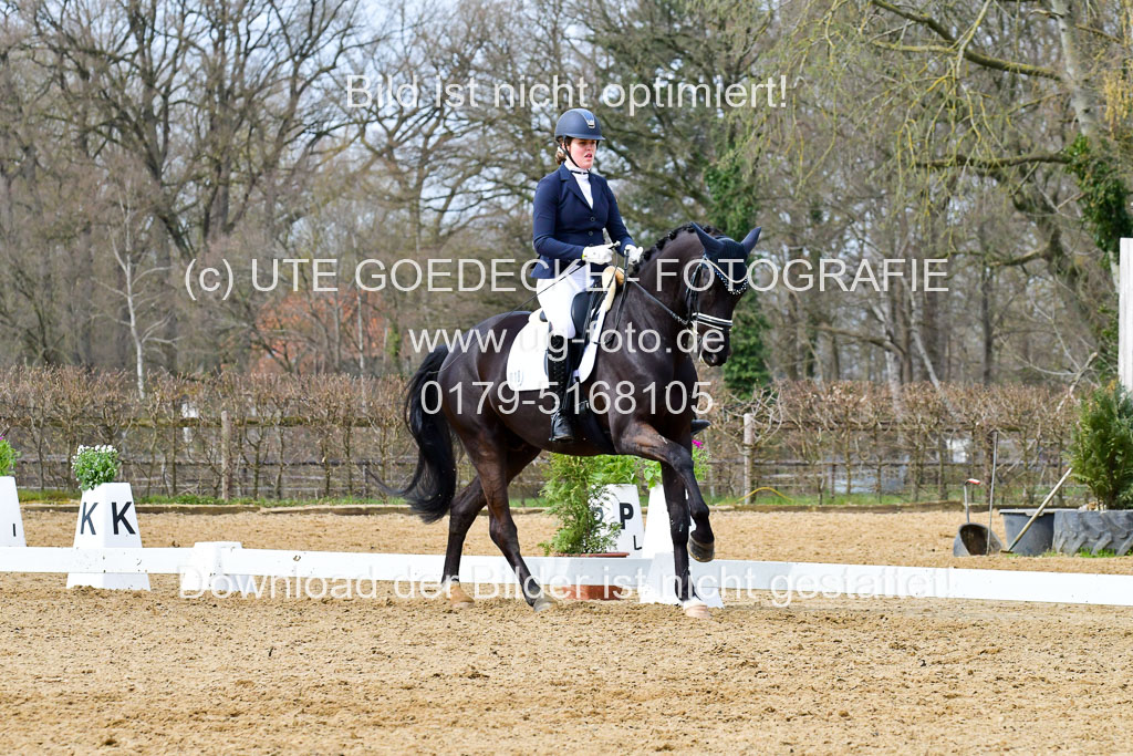 Reitsportzentrum Bremervörde | 170421 Dressurreiter L_358