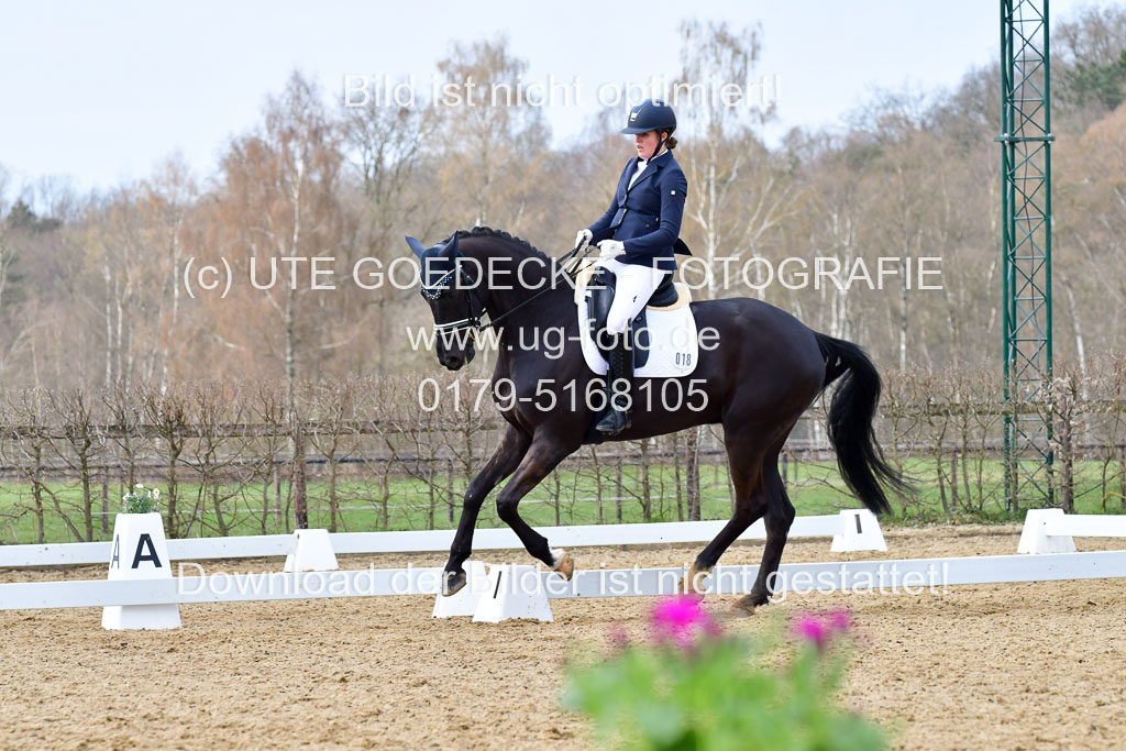 Reitsportzentrum Bremervörde | 170421 Dressurreiter L_361