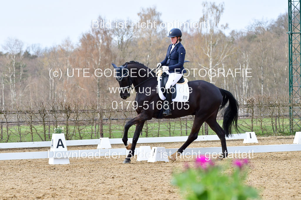 Reitsportzentrum Bremervörde | 170421 Dressurreiter L_362