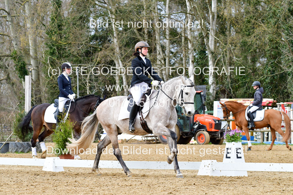 Reitsportzentrum Bremervörde | 170421 Dressurreiter L_374