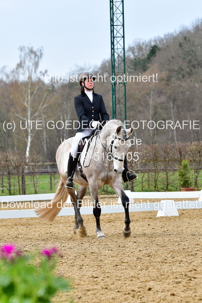 Reitsportzentrum Bremervörde | 170421 Dressurreiter L_377