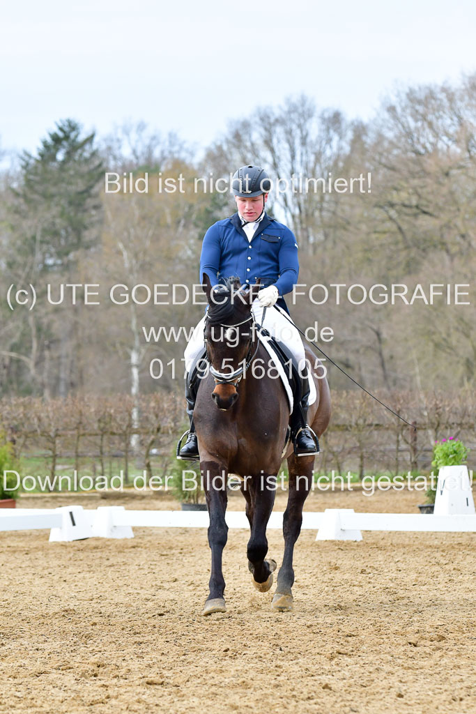Reitsportzentrum Bremervörde | 170421 Dressurreiter L_387 