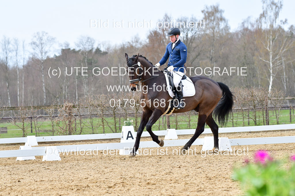 Reitsportzentrum Bremervörde | 170421 Dressurreiter L_396