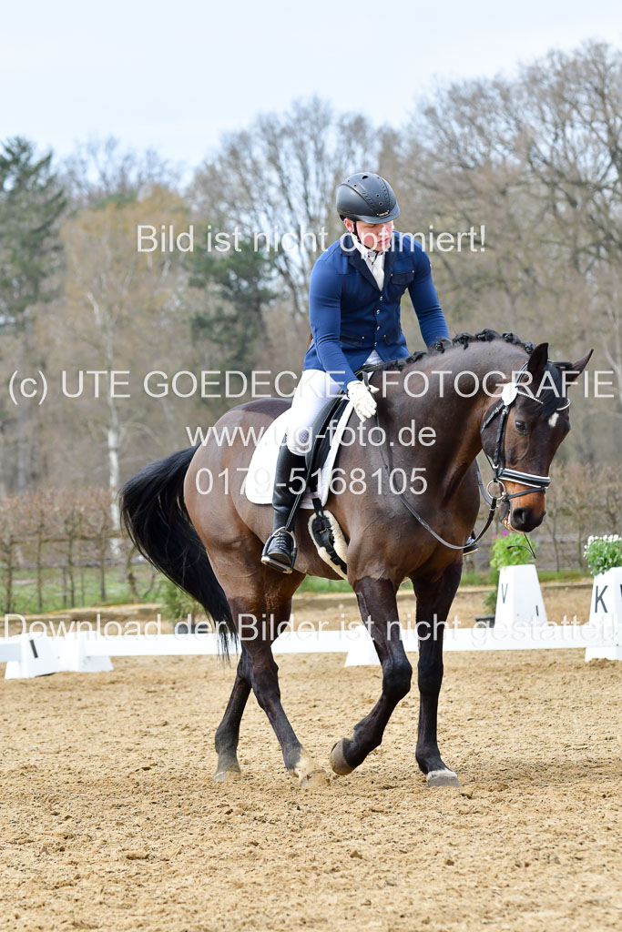 Reitsportzentrum Bremervörde | 170421 Dressurreiter L_398