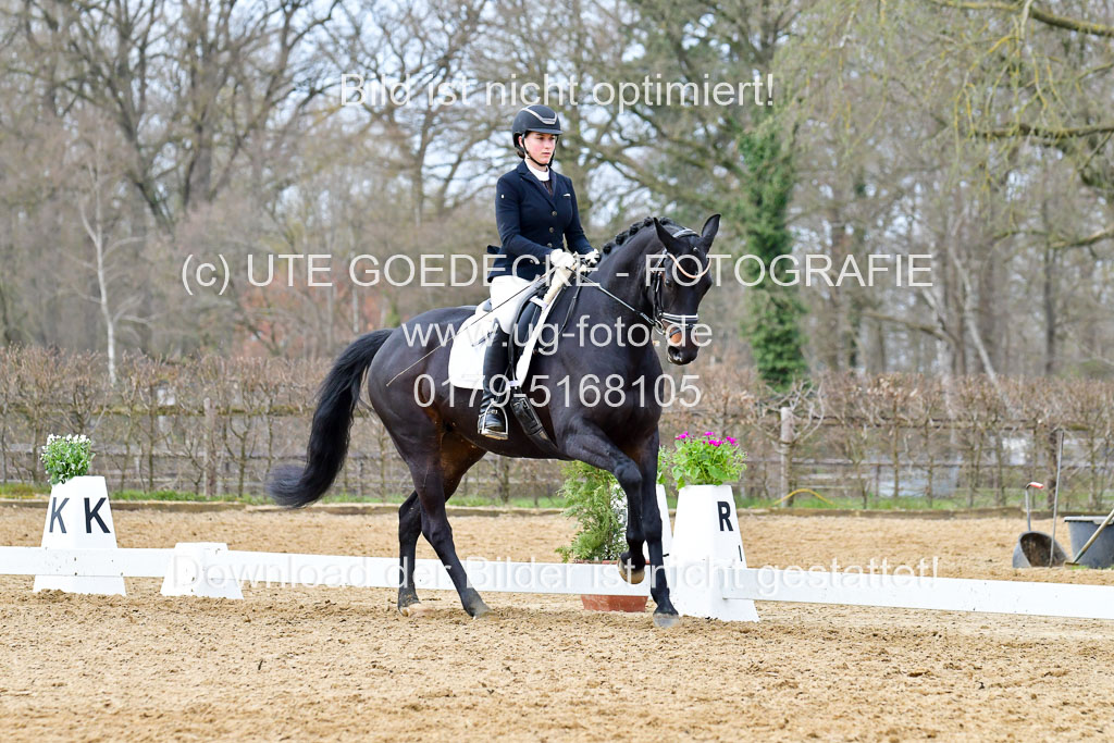 Reitsportzentrum Bremervörde | 170421 Dressurreiter L_408