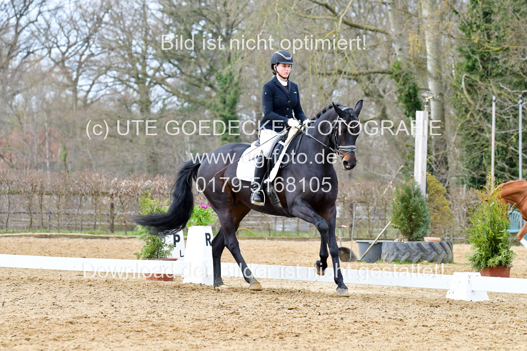 Reitsportzentrum Bremervörde | 170421 Dressurreiter L_409