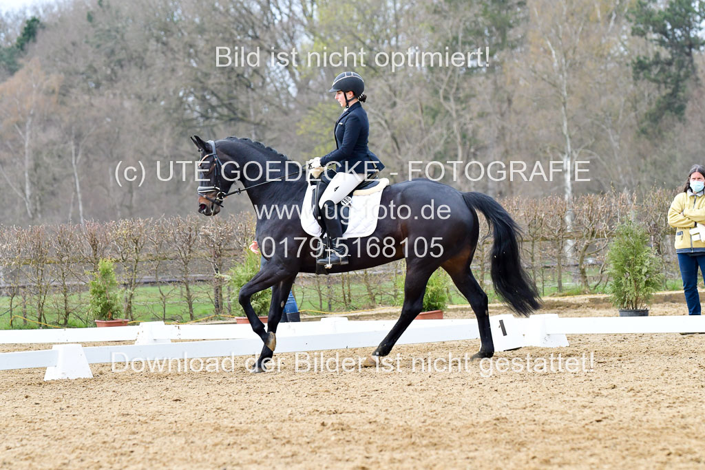 Reitsportzentrum Bremervörde | 170421 Dressurreiter L_411