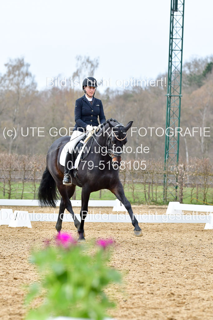Reitsportzentrum Bremervörde | 170421 Dressurreiter L_415