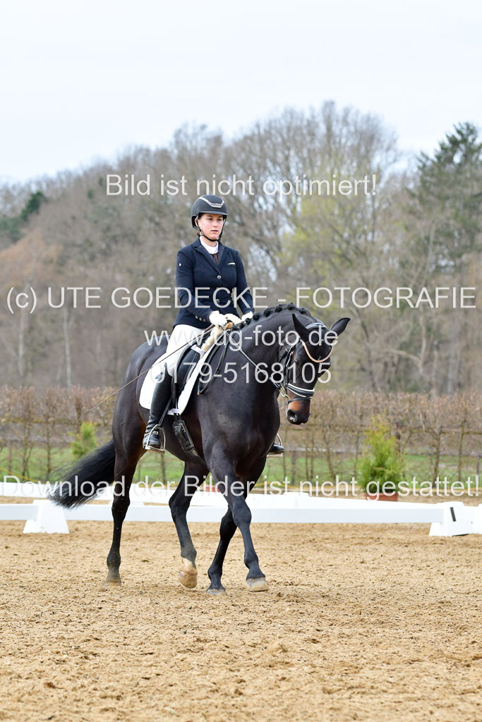 Reitsportzentrum Bremervörde | 170421 Dressurreiter L_416 