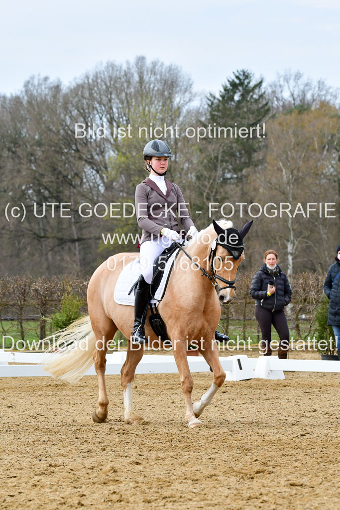 Reitsportzentrum Bremervörde | 170421 Dressurreiter L_419