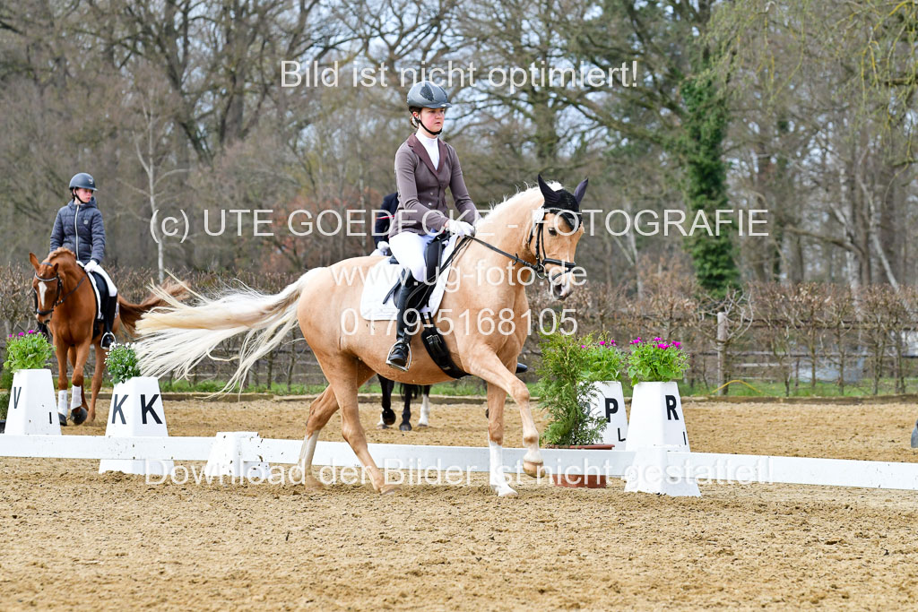 Reitsportzentrum Bremervörde | 170421 Dressurreiter L_427