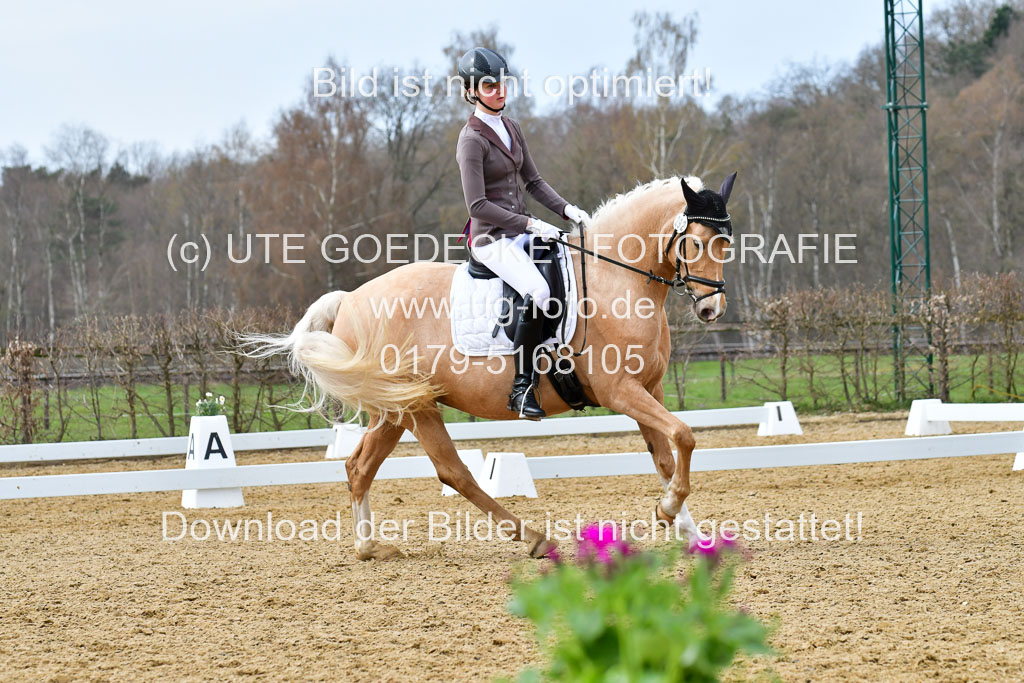 Reitsportzentrum Bremervörde | 170421 Dressurreiter L_428