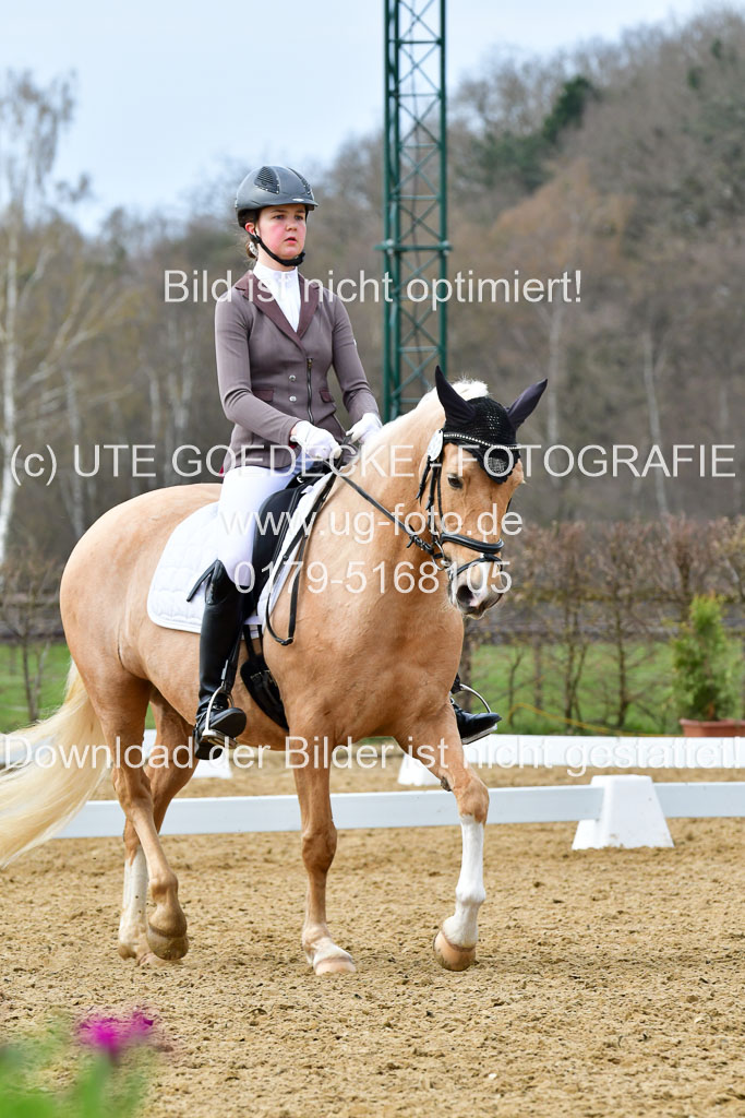 Reitsportzentrum Bremervörde | 170421 Dressurreiter L_431