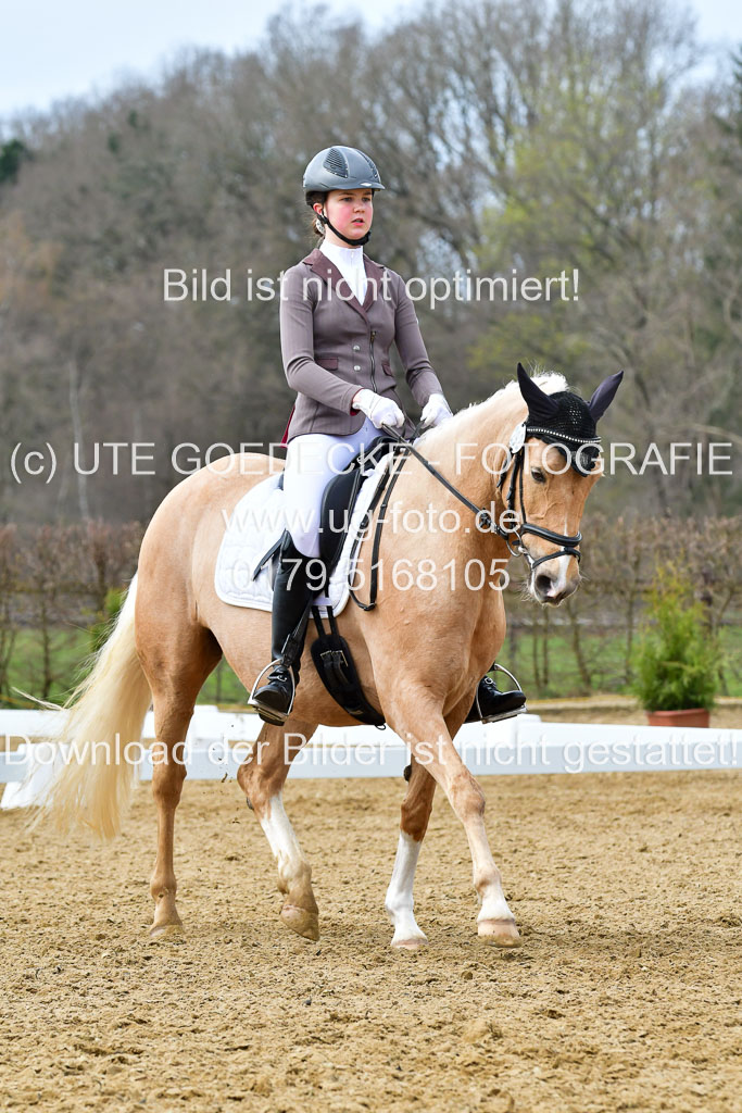 Reitsportzentrum Bremervörde | 170421 Dressurreiter L_432