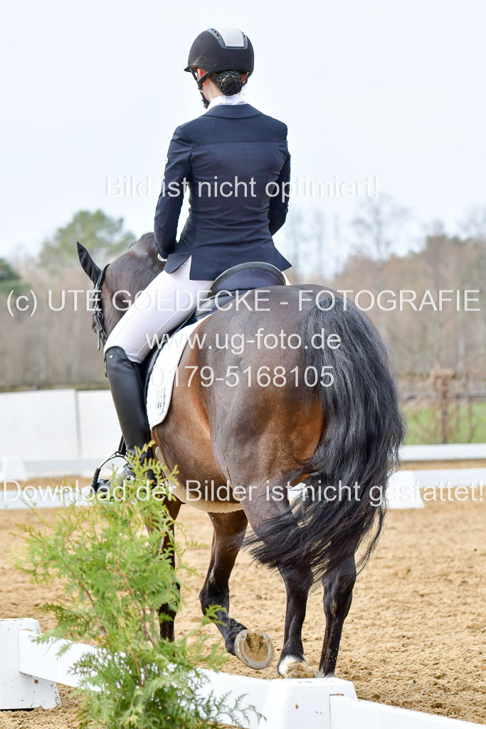 Reitsportzentrum Bremervörde | 170421 Dressurreiter L_437