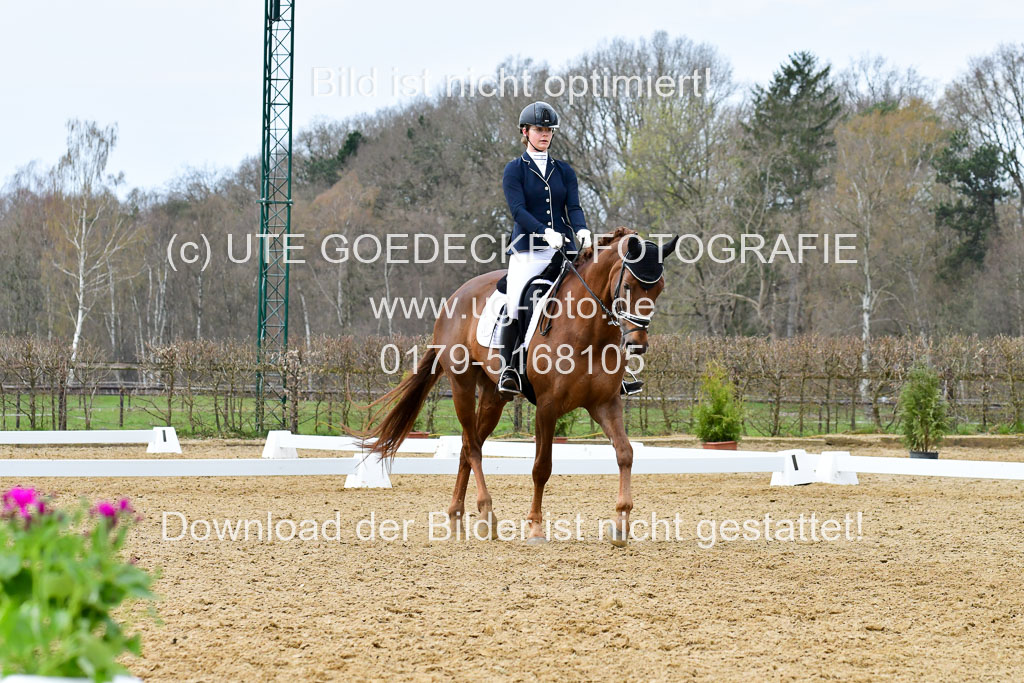 Reitsportzentrum Bremervörde | 170421 Dressurreiter L_442 