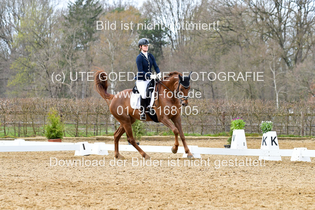 Reitsportzentrum Bremervörde | 170421 Dressurreiter L_446