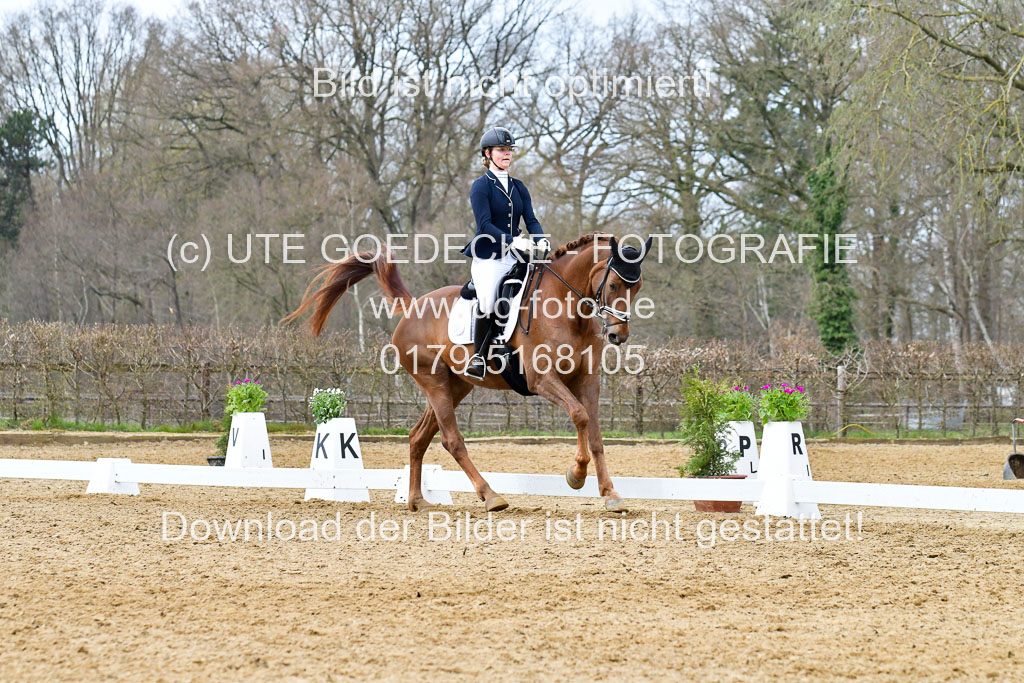 Reitsportzentrum Bremervörde | 170421 Dressurreiter L_447