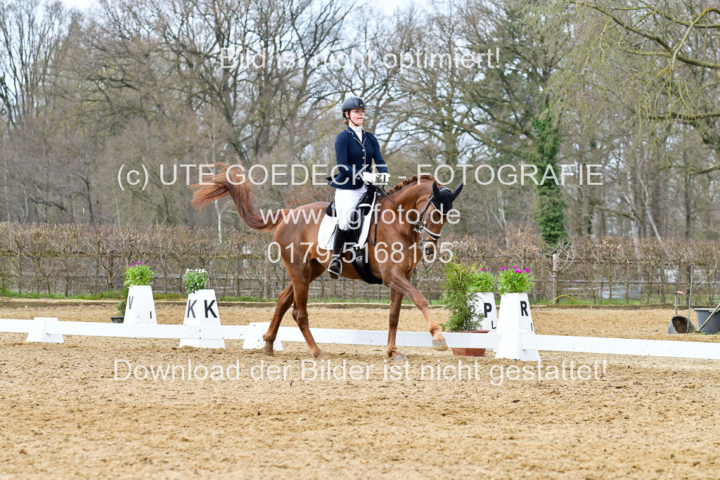 Reitsportzentrum Bremervörde | 170421 Dressurreiter L_448