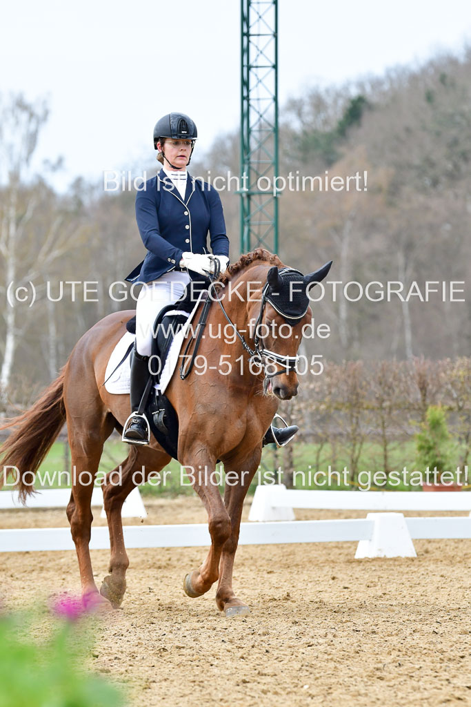Reitsportzentrum Bremervörde | 170421 Dressurreiter L_450