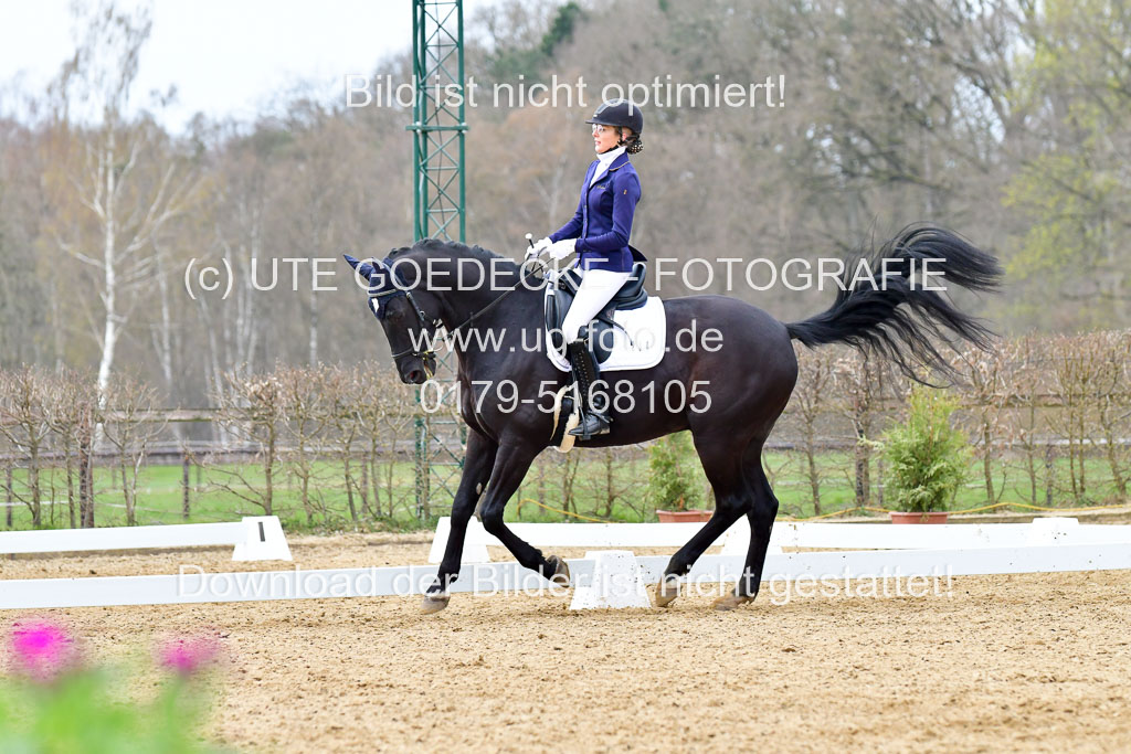 Reitsportzentrum Bremervörde | 170421 Dressurreiter L_459
