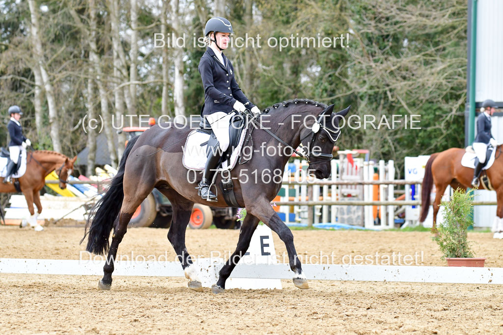 Reitsportzentrum Bremervörde | 170421 Dressurreiter L_464