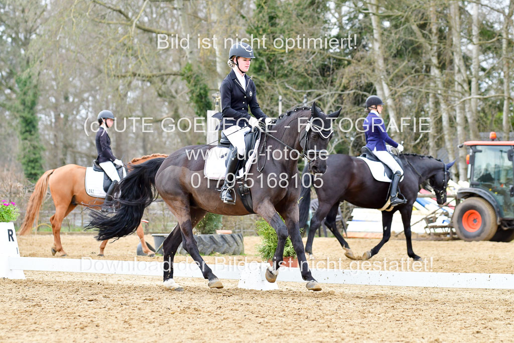 Reitsportzentrum Bremervörde | 170421 Dressurreiter L_469