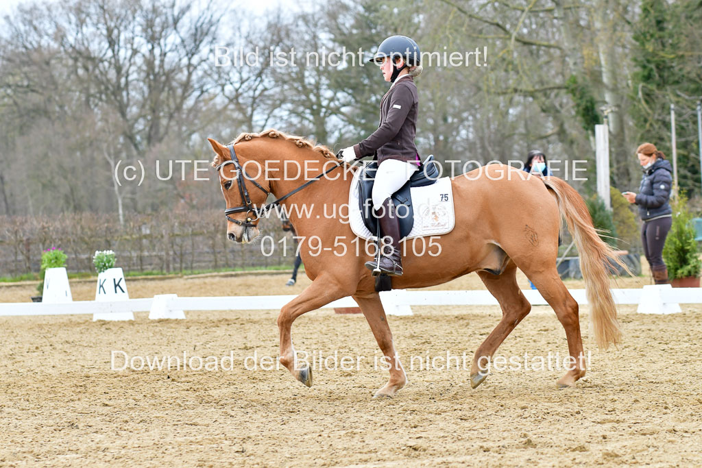 Reitsportzentrum Bremervörde | 170421 Dressurreiter L_474