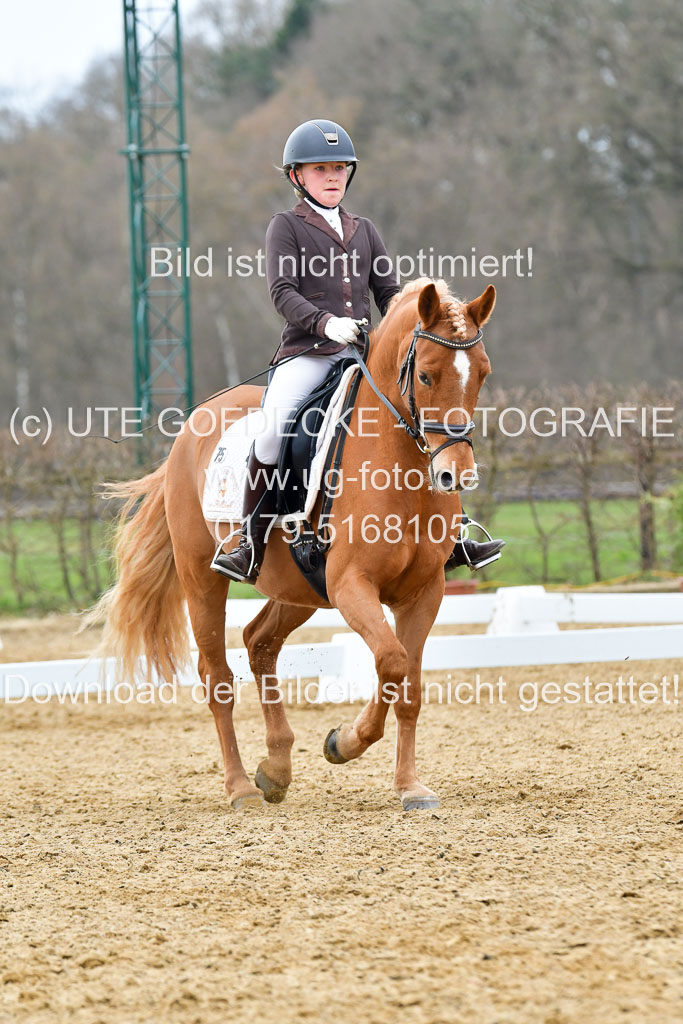 Reitsportzentrum Bremervörde | 170421 Dressurreiter L_476