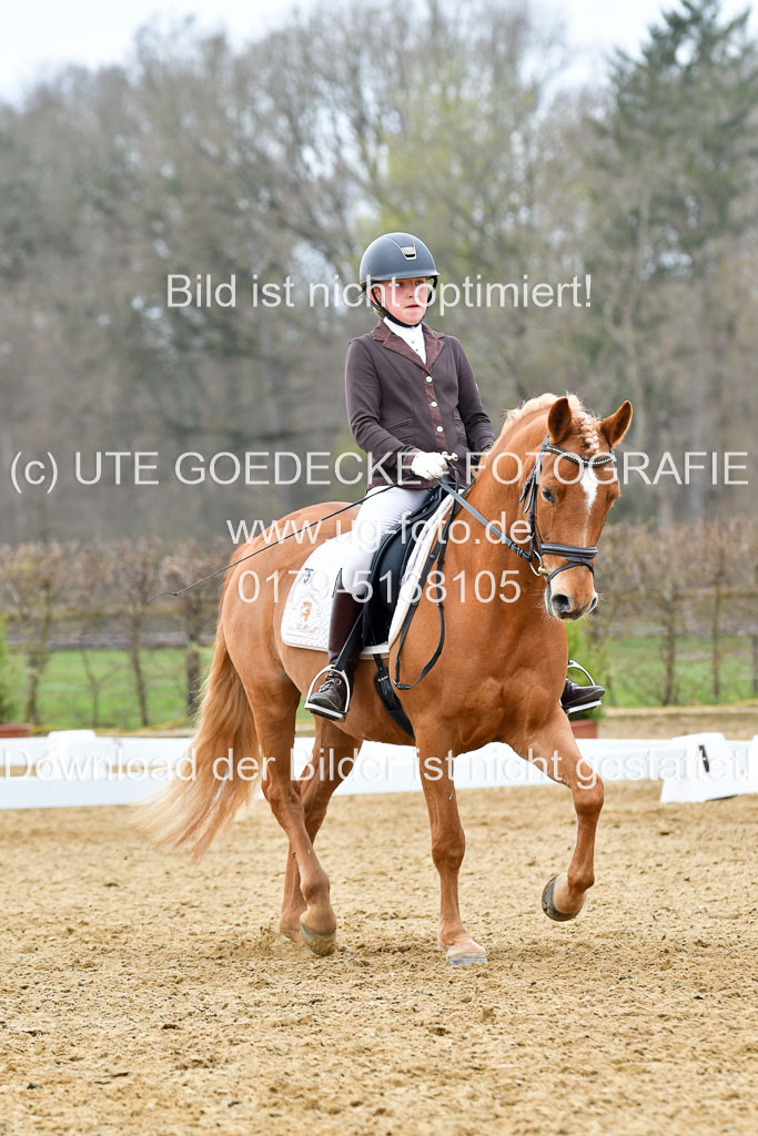 Reitsportzentrum Bremervörde | 170421 Dressurreiter L_479