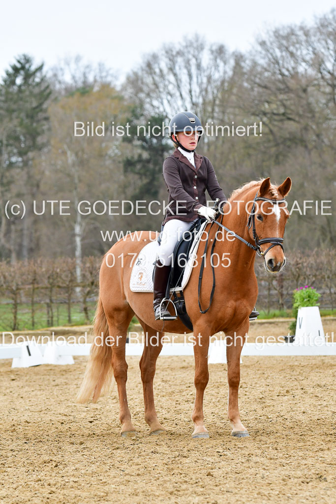 Reitsportzentrum Bremervörde | 170421 Dressurreiter L_480