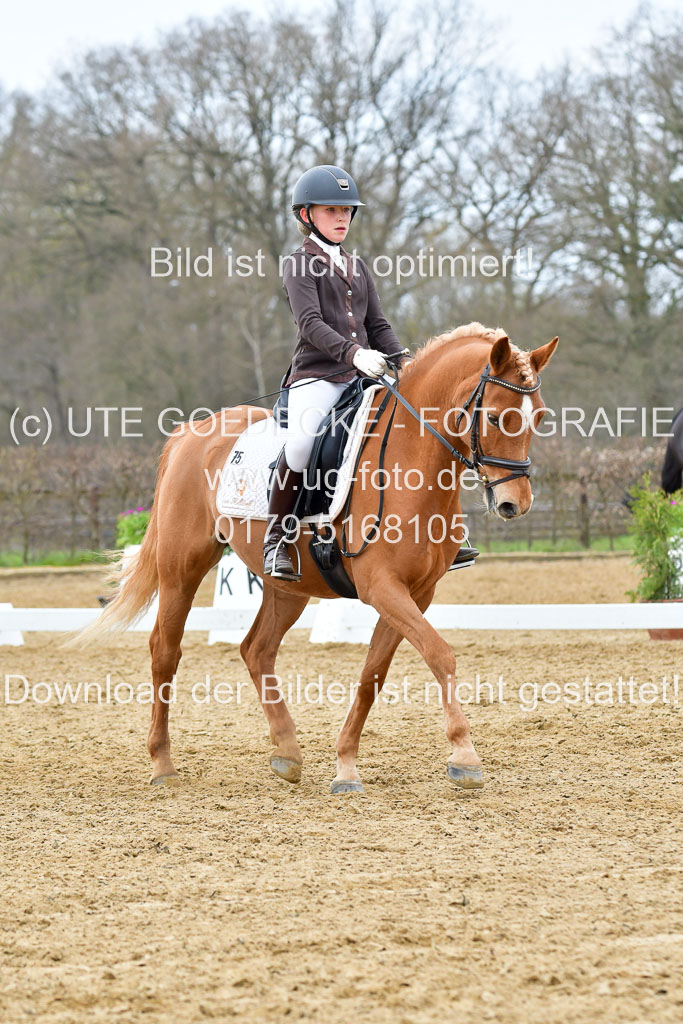 Reitsportzentrum Bremervörde | 170421 Dressurreiter L_481