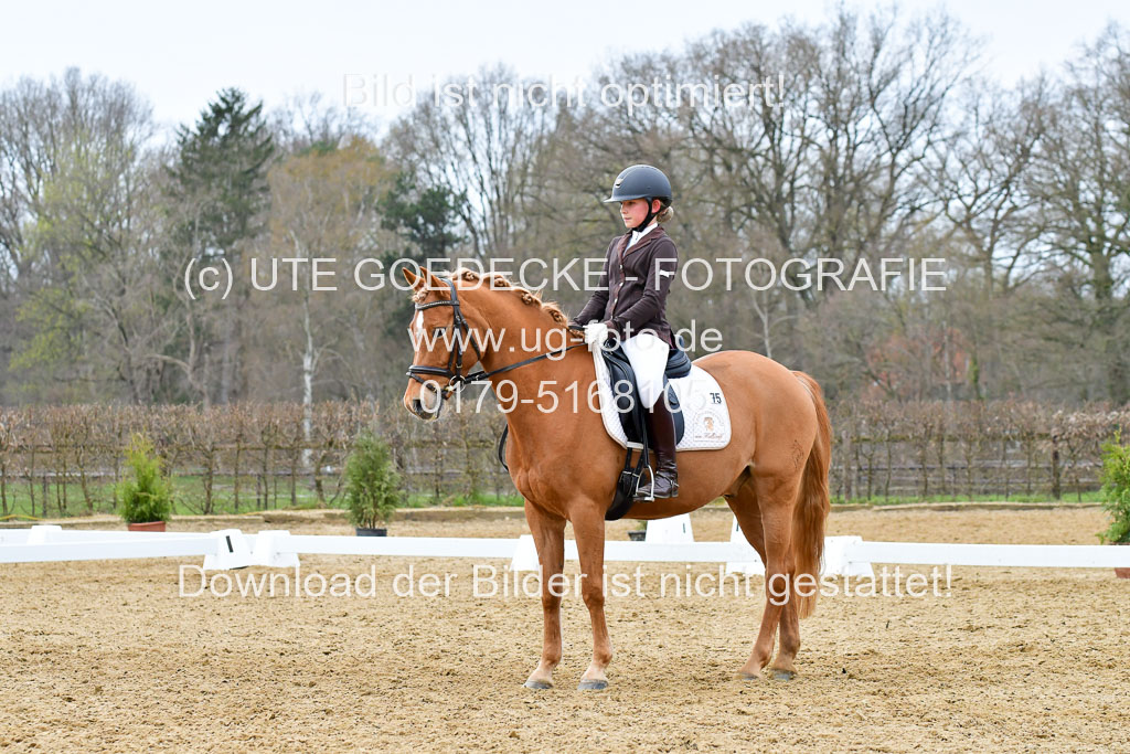 Reitsportzentrum Bremervörde | 170421 Dressurreiter L_484