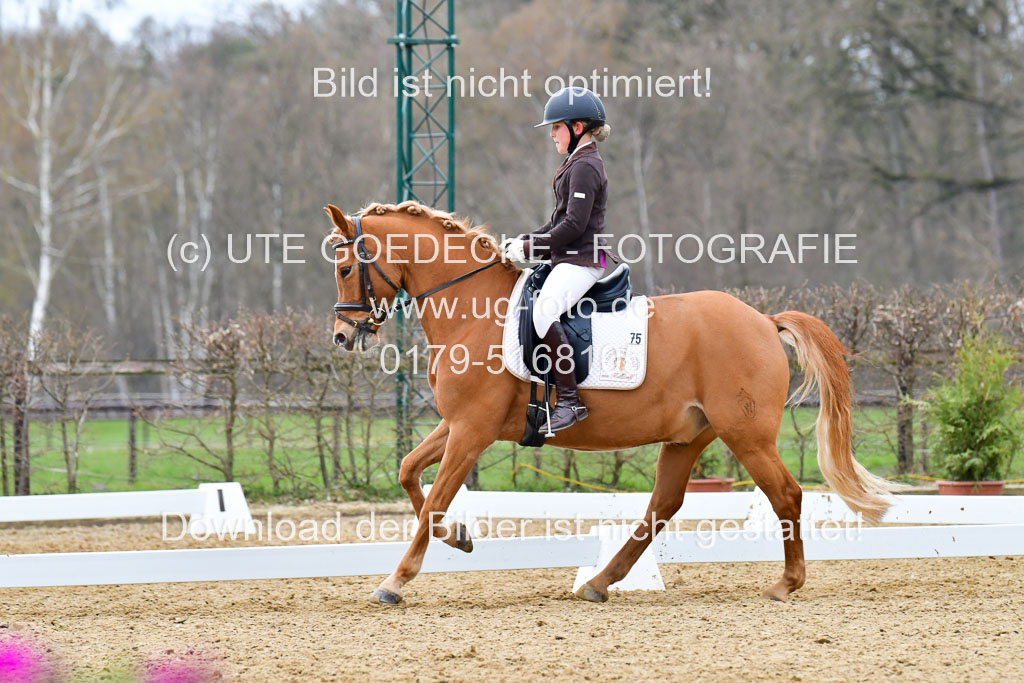 Reitsportzentrum Bremervörde | 170421 Dressurreiter L_493