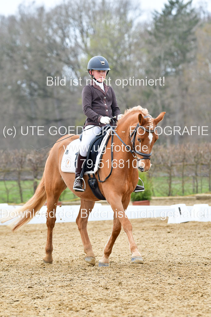 Reitsportzentrum Bremervörde | 170421 Dressurreiter L_494