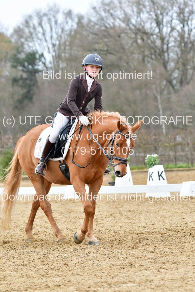 Reitsportzentrum Bremervörde | 170421 Dressurreiter L_495