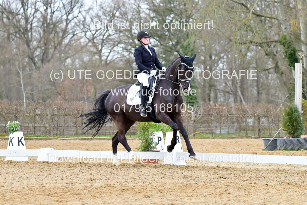 Reitsportzentrum Bremervörde | 170421 Dressurreiter L_514