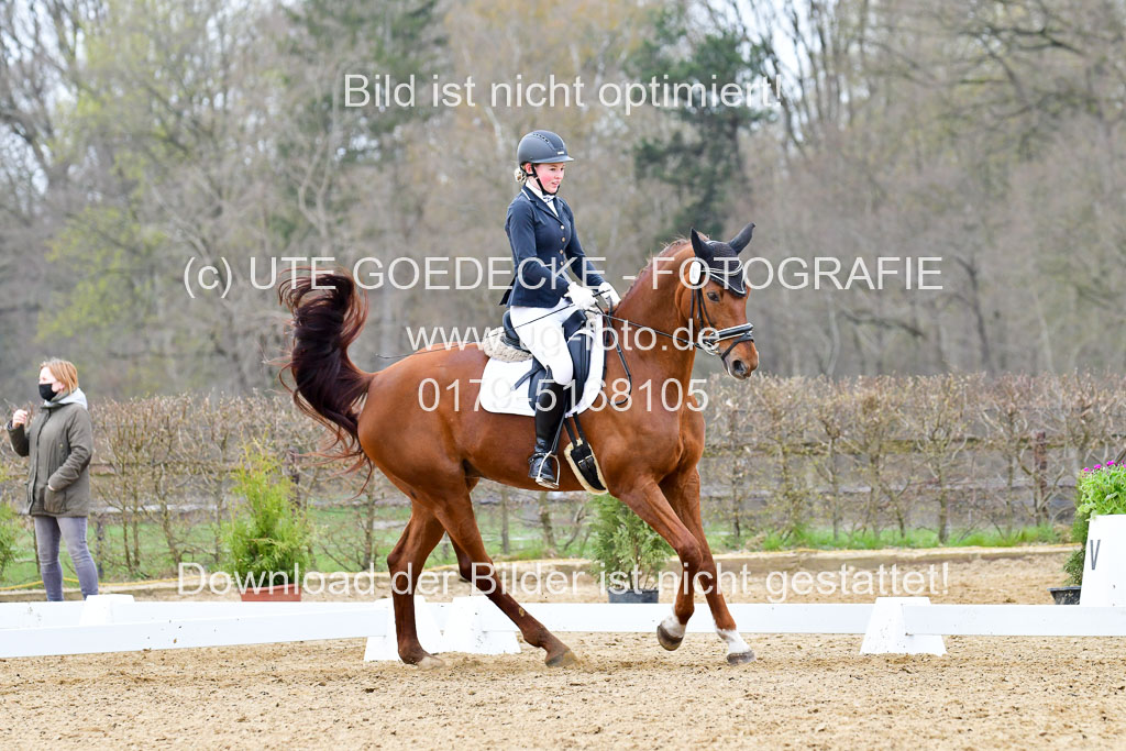 Reitsportzentrum Bremervörde | 170421 Dressurreiter L_524